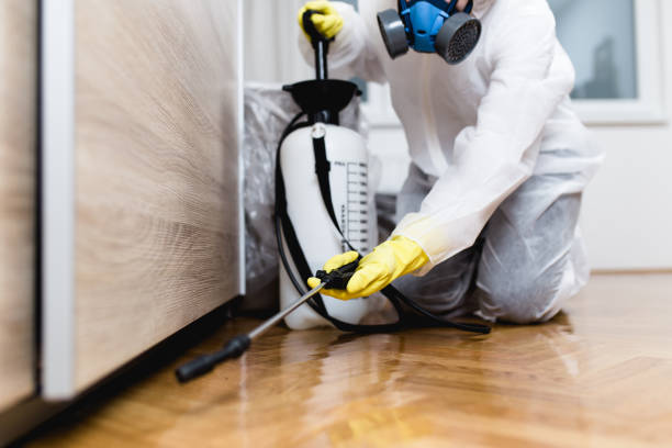 Best Termite Control Services  in Kingstowne, VA