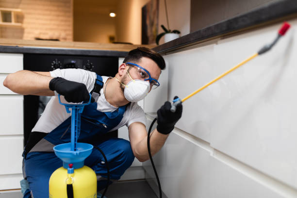 Best Residential Pest Control  in Kingstowne, VA
