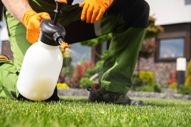 Best Wasp Removal Services  in Kingstowne, VA