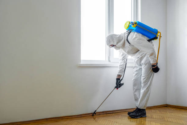 Best Insect Control  in Kingstowne, VA