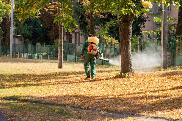 Best Flea Control Services  in Kingstowne, VA