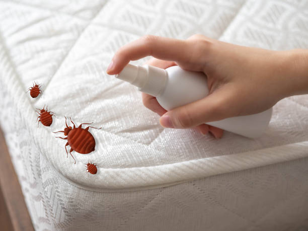Best Exterminator Services  in Kingstowne, VA