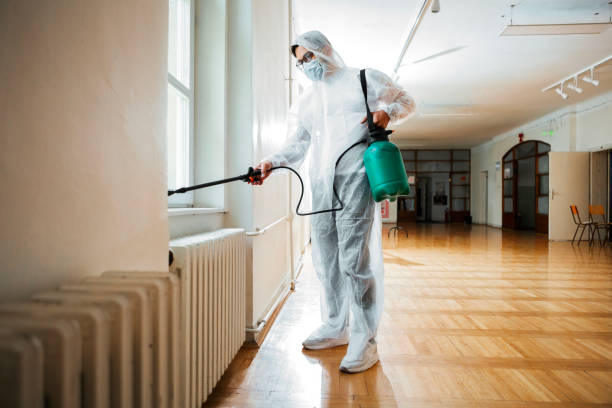 Insect Control in Kingstowne, VA