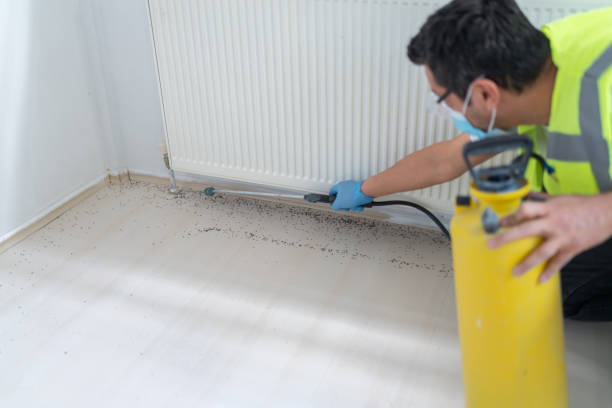Best Mosquito Control Services  in Kingstowne, VA
